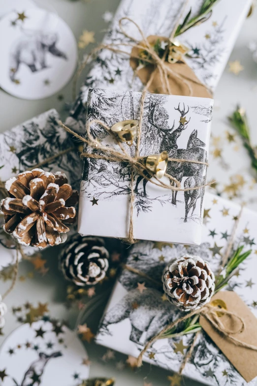 christmas presents wrapped in paper and tied with twine, a black and white photo, by Lucia Peka, pexels contest winner, white with gold accents, flora and fauna, to