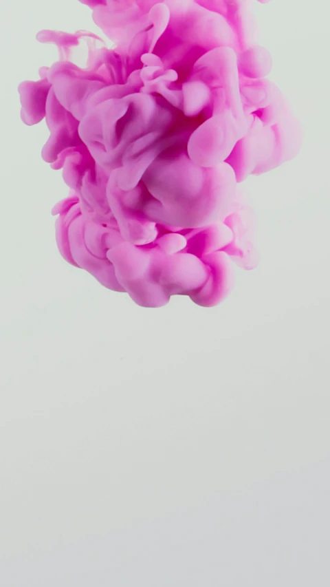 a close up of a pink substance in water, inspired by Russell Dongjun Lu, trending on pexels, conceptual art, in a cloud, on grey background, cmyk, abstract claymation