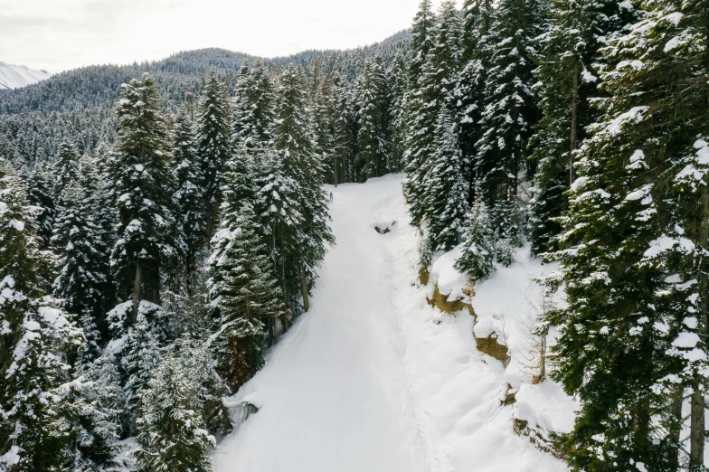 a man riding skis down a snow covered slope, by Emma Andijewska, pexels contest winner, renaissance, lush forest in valley below, drone photo, thumbnail, forest path