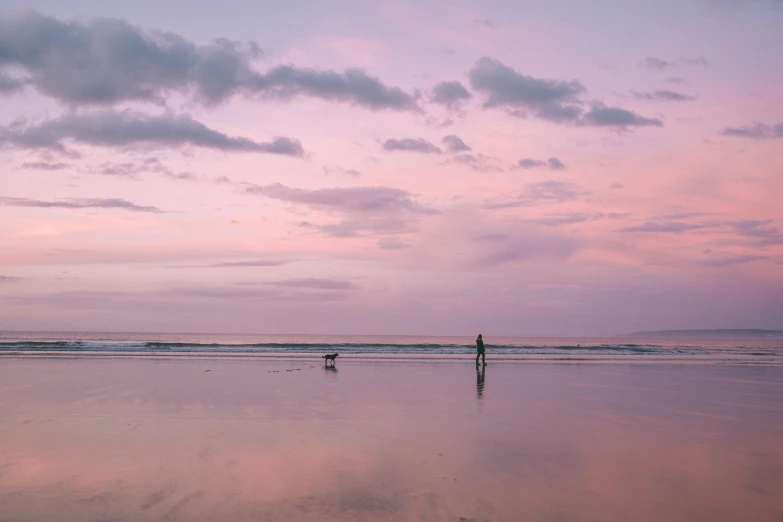 a person walking a dog on a beach at sunset, unsplash contest winner, minimalism, soft lilac skies, bali, pink, music