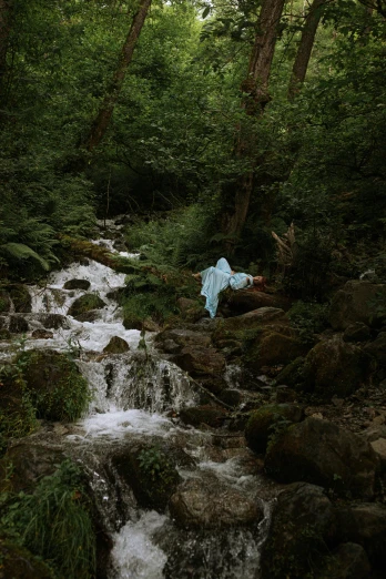 a stream running through a lush green forest, an album cover, inspired by Elsa Bleda, wearing flowing robes, porcelain holly herndon statue, full shot photograph, wales