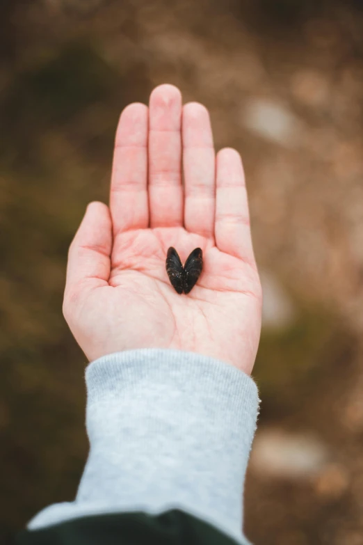 a person holding a small black object in their hand, by Jesper Knudsen, pexels contest winner, symbolism, heartstone, large wingspan, smol, environmental shot