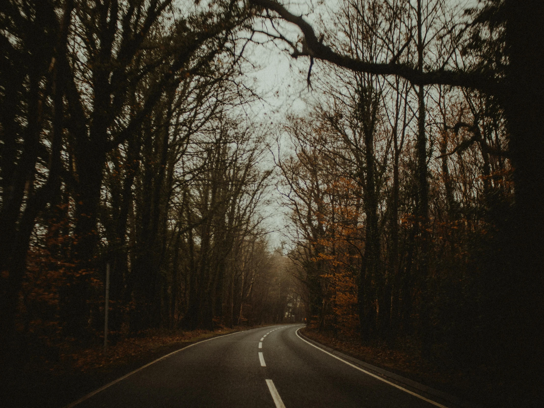 an empty road in the middle of a forest, an album cover, pexels contest winner, beige and dark atmosphere, autumnal, grey, thumbnail