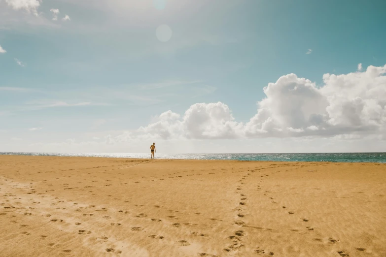 a person standing on top of a sandy beach, kauai, trailing off into the horizon, sunny sky, unsplash transparent