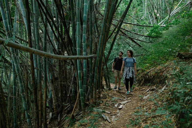 a couple of people that are walking in the woods, unsplash, renaissance, made of bamboo, maui, mid shot photo