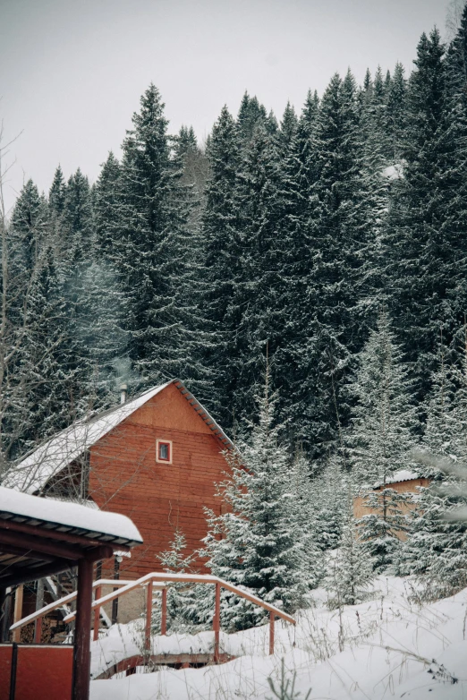 a cabin in the middle of a snowy forest, a picture, inspired by Peter Zumthor, pexels contest winner, renaissance, quaint village, muted colors. ue 5, spruce trees, exterior view