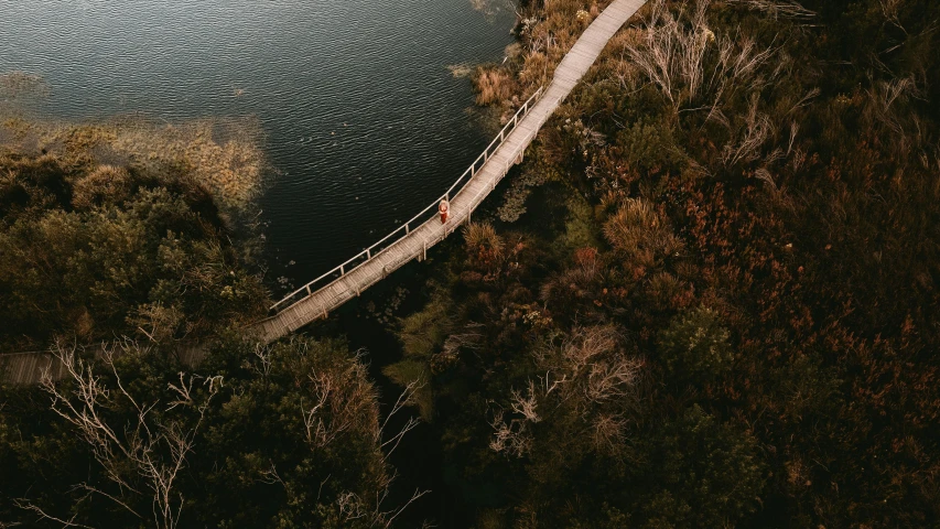 a person walking across a bridge over a body of water, by Niko Henrichon, pexels contest winner, birdseye view, sydney park, bridge to terabithia, near a lake