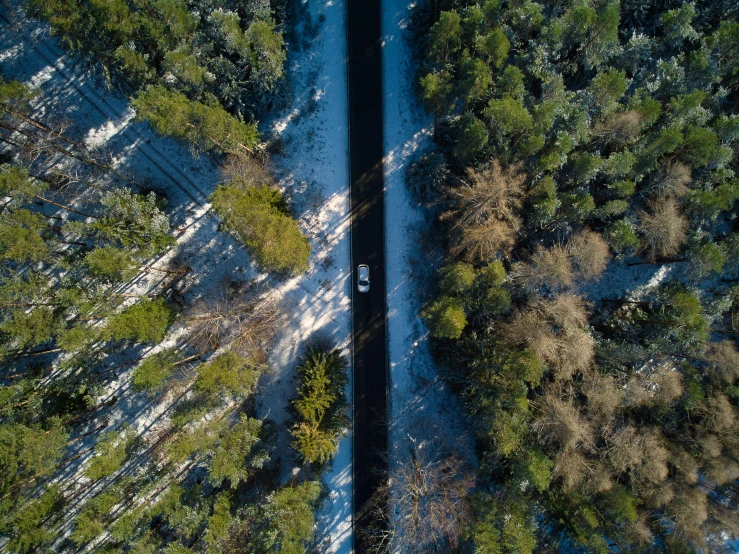 an aerial view of a road in the middle of a forest, by Daniel Seghers, unsplash contest winner, snow and ice, a car, thumbnail, hunting