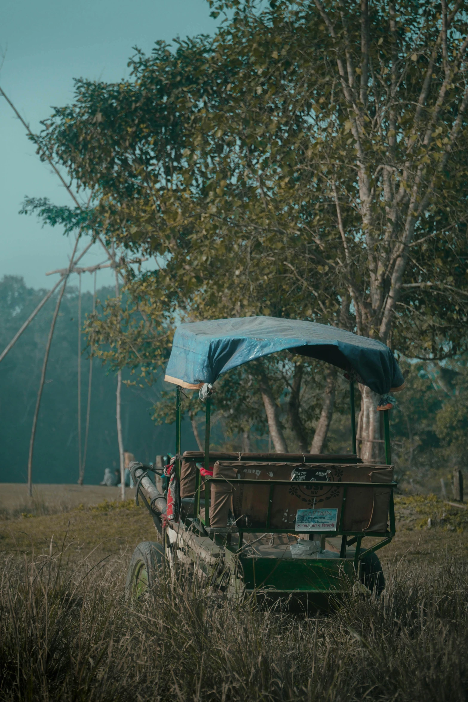 a boat that is sitting in the grass, by Eglon van der Neer, sumatraism, carriage, near forest, old color photograph, canopy