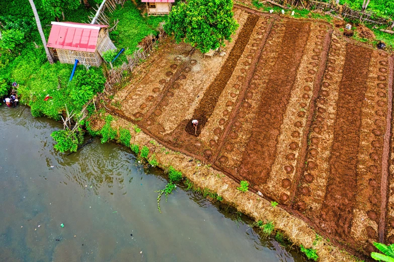 a river running through a lush green forest filled with trees, an album cover, by Julia Pishtar, pexels contest winner, land art, single bangla farmer fighting, rows of lush crops, backyard garden, manila