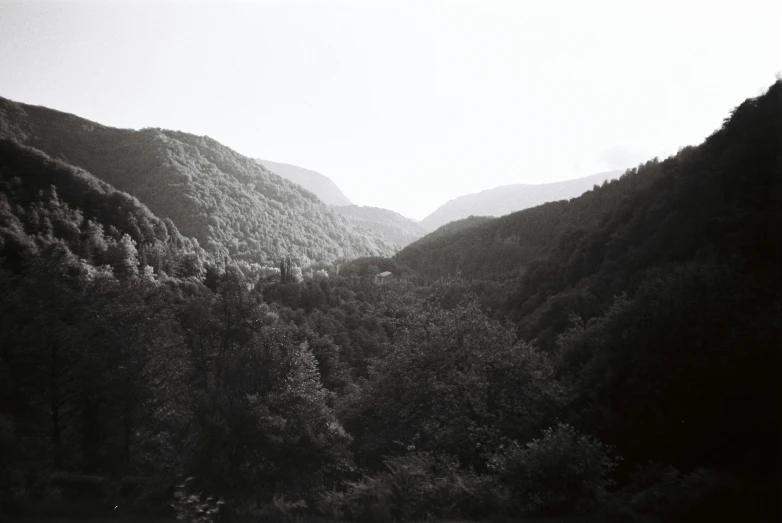 a black and white photo of a mountain valley, inspired by Thomas Struth, les nabis, green grasse trees and river, medium format. soft light, ((forest)), transylvania