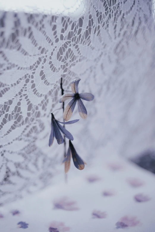 a close up of a flower on a lace table cloth, by Aileen Eagleton, unsplash, white sweeping arches, lilac, photographed for reuters, patterned