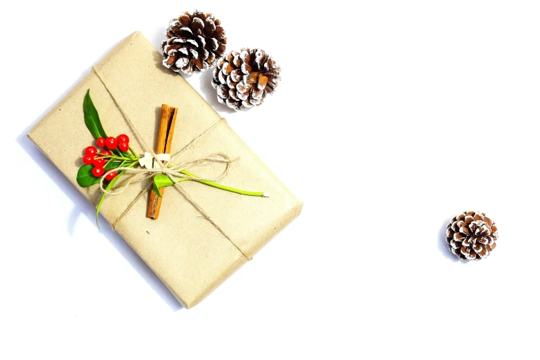 a present sitting on top of a table next to pine cones, a cartoon, pexels, minimalism, white background, cinnamon, background image, ornamental bow