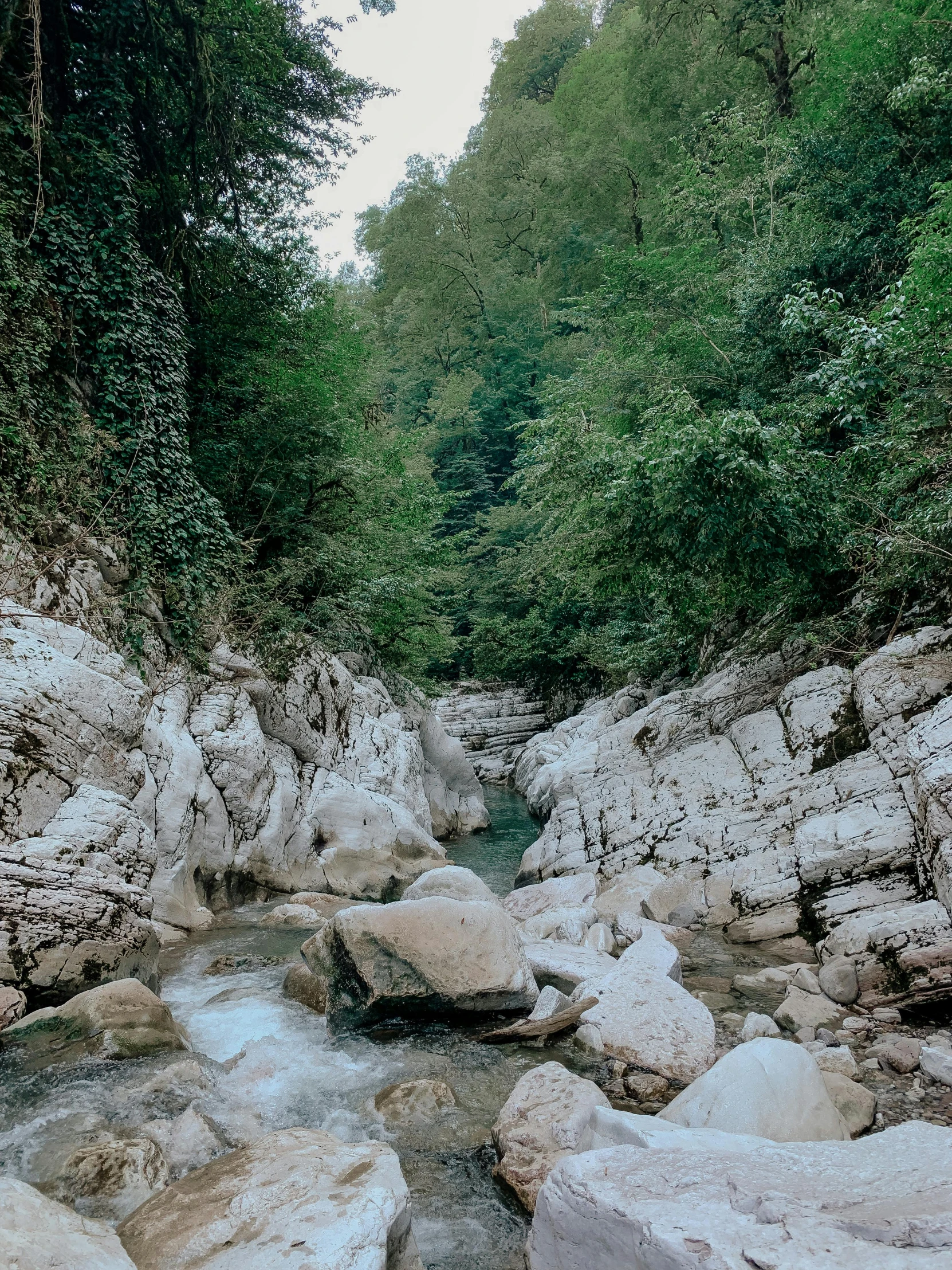 a river running through a lush green forest, an album cover, inspired by Giuseppe Grisoni, pexels contest winner, large stones, dry river bed, italy, low quality photo