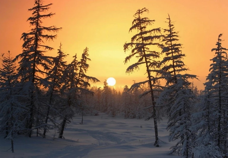 the sun is setting behind the trees in the snow, by Veikko Törmänen, pexels contest winner, taiga, spruce trees on the sides, skiing, inuit