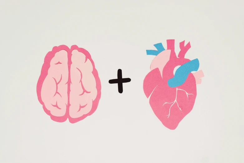 a drawing of a heart and a brain next to each other, a screenprint, unsplash, maths, human bodies, ilustration, paul rand