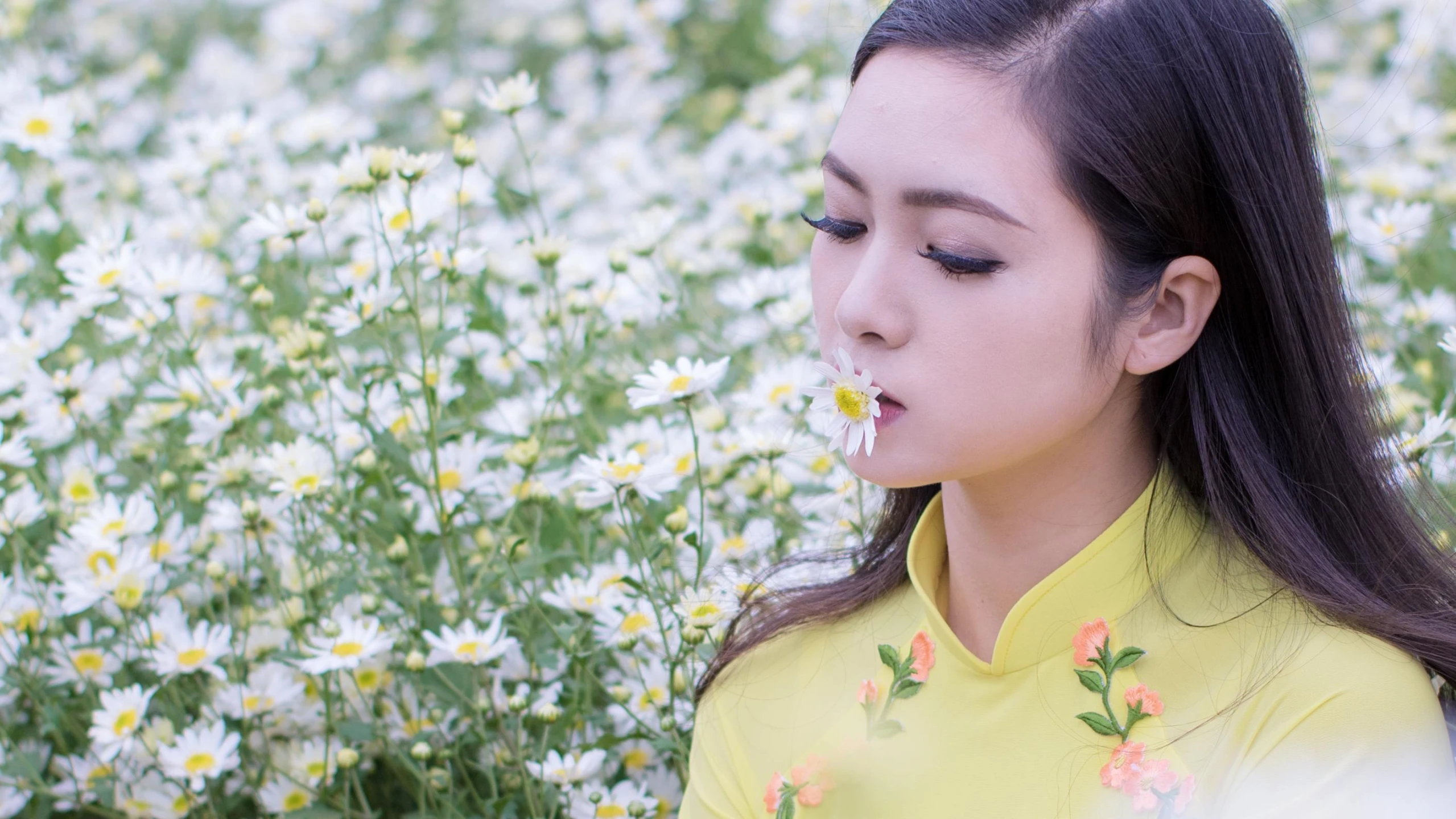 a woman standing in a field of white flowers, inspired by Cui Bai, wearing yellow floral blouse, breathing, vietnamese woman, background image