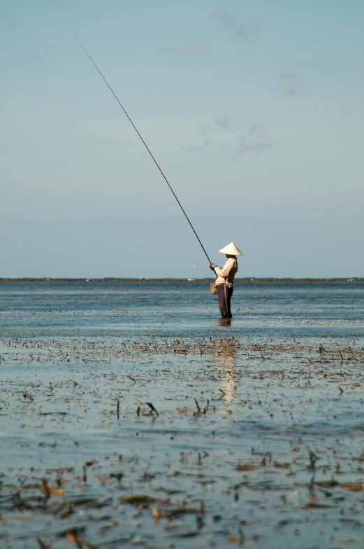 a person standing in the water with a fishing rod, lê long, grazing, shallow waters, near the sea