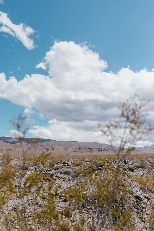 a man riding a motorcycle down a dirt road, trending on unsplash, visual art, 4 k cinematic panoramic view, las vegas, “puffy cloudscape, a 35mm photo