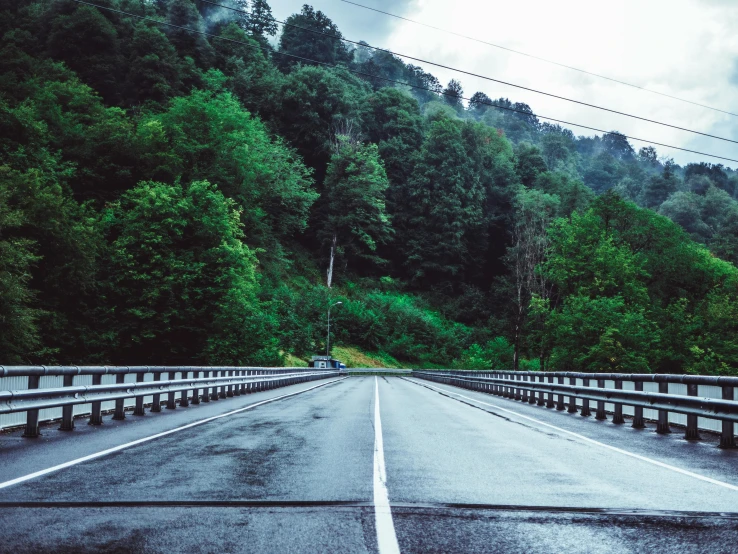 a car driving down a wet road next to a forest, pexels contest winner, renaissance, high bridges, a green, upset, hilly road