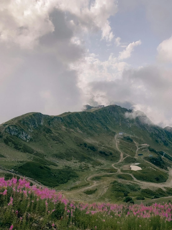a view of a mountain with pink flowers in the foreground, a matte painting, by Emma Andijewska, pexels contest winner, renaissance, cloudy day, high angle view, whistler, high light on the left