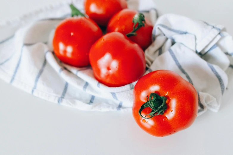 a bunch of tomatoes sitting on top of a towel, unsplash, 🦩🪐🐞👩🏻🦳, background image, white background, realistic »