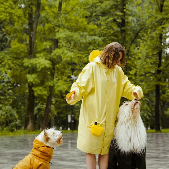 a woman in a yellow raincoat standing next to two dogs, pexels, visual art, picnic, wet look, thumbnail, costume