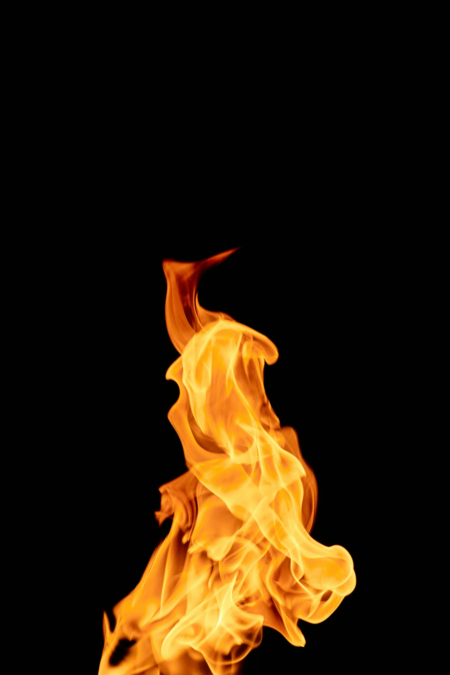 a close up of a fire on a black background, an album cover, pexels, plain background, profile image, digital image, highly rendered