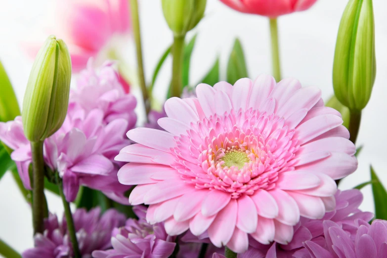 a bunch of pink flowers in a vase, inspired by William Hoare, shutterstock contest winner, chrysanthemum and tulips, detail shot, pink and purple, edible flowers