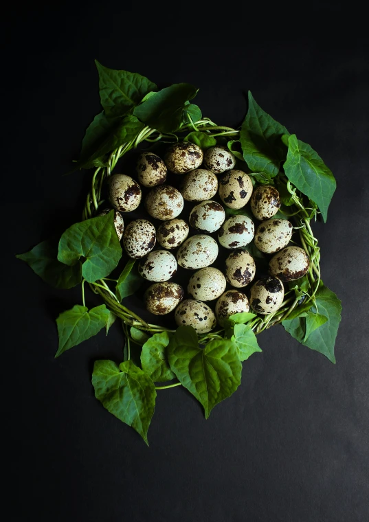 a bowl of quails sitting on top of a table, a digital rendering, by Alison Geissler, unsplash, puffballs, green and black color scheme, eggs, vine