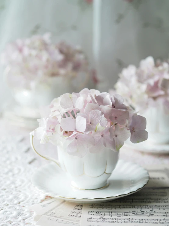 a vase filled with pink flowers sitting on top of a table, tea cup, made in tones of white and grey, product display photograph, hydrangea