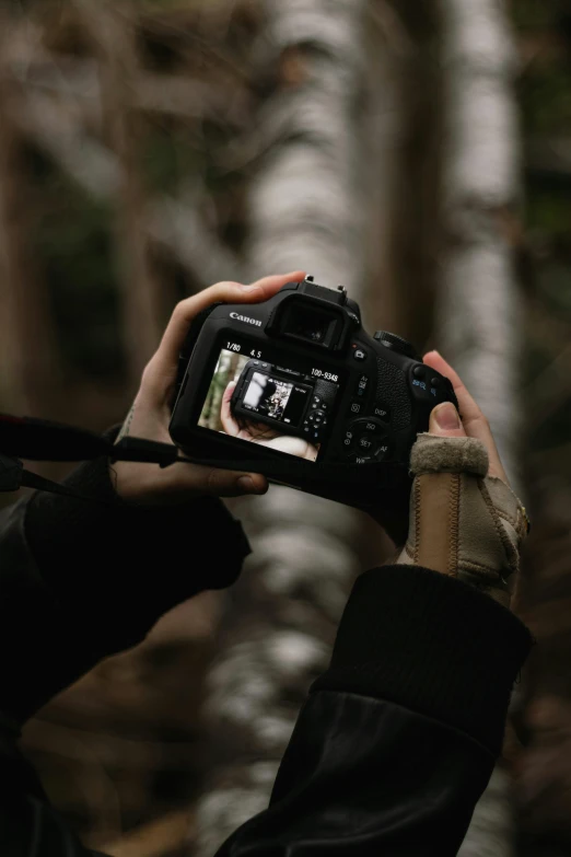 a person taking a picture with a camera, photograph captured in the woods, canon eos, upper body image, photograph ”