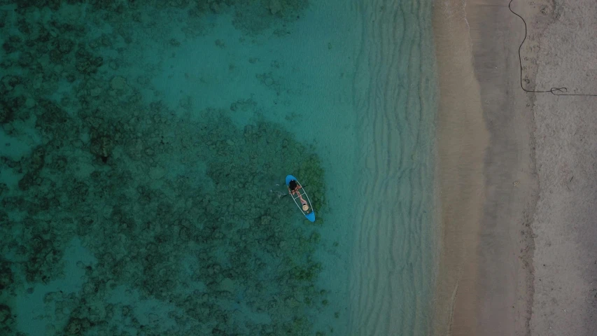 a person on a surfboard in the middle of a body of water, coral sea bottom, rowing boat, shot from 5 0 feet distance, beach setting medium shot