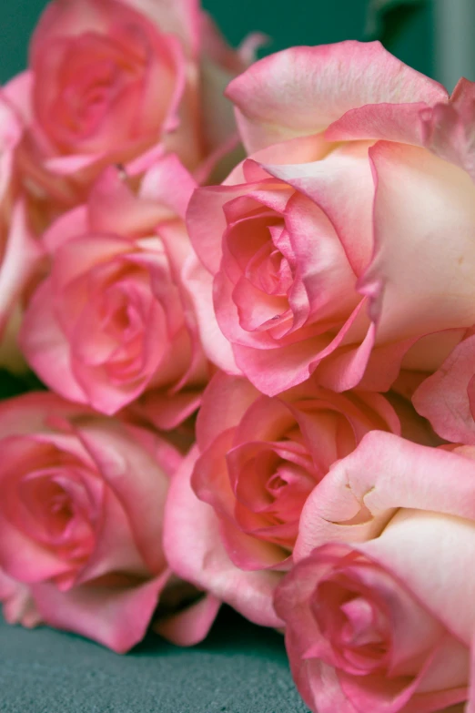 a bunch of pink roses sitting on top of a table, up-close, upclose, award-winning crisp details”, luscious