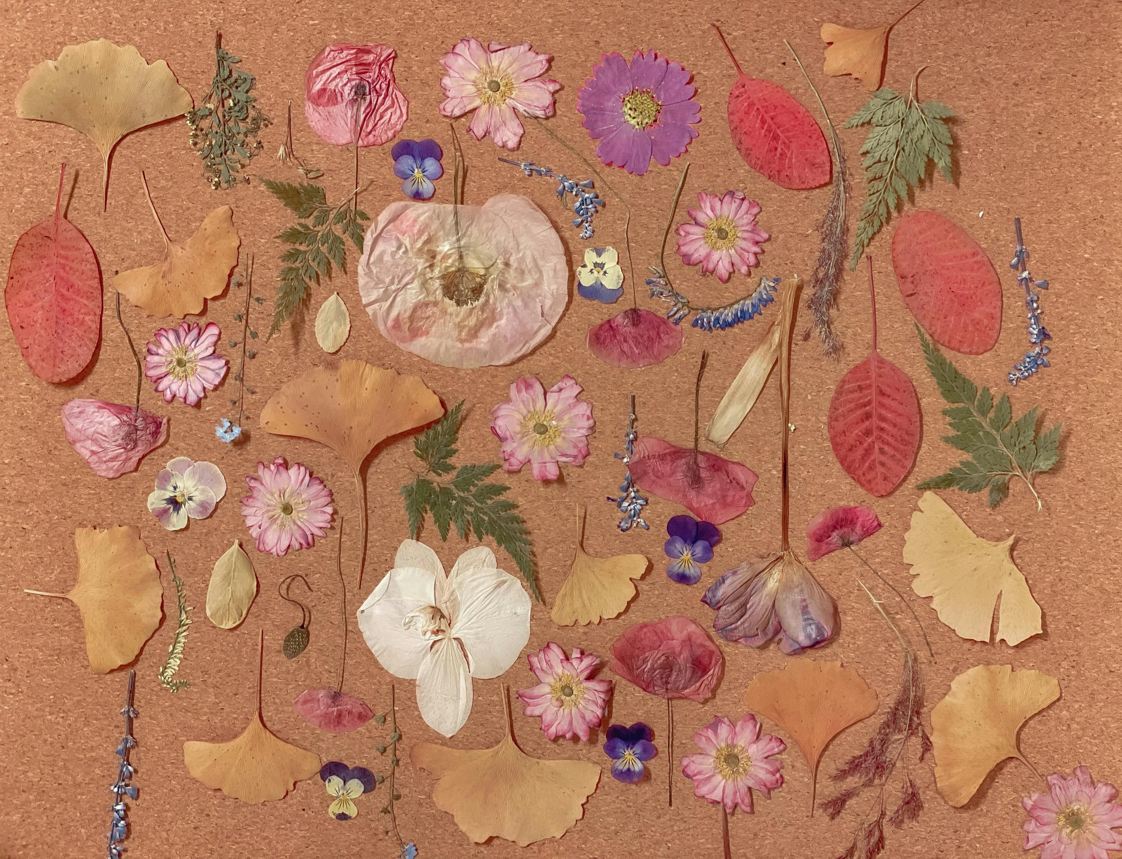 a bunch of pressed flowers sitting on top of a cork board, lush garden leaves and flowers, google arts and cultures, with frozen flowers around her, sandy colors