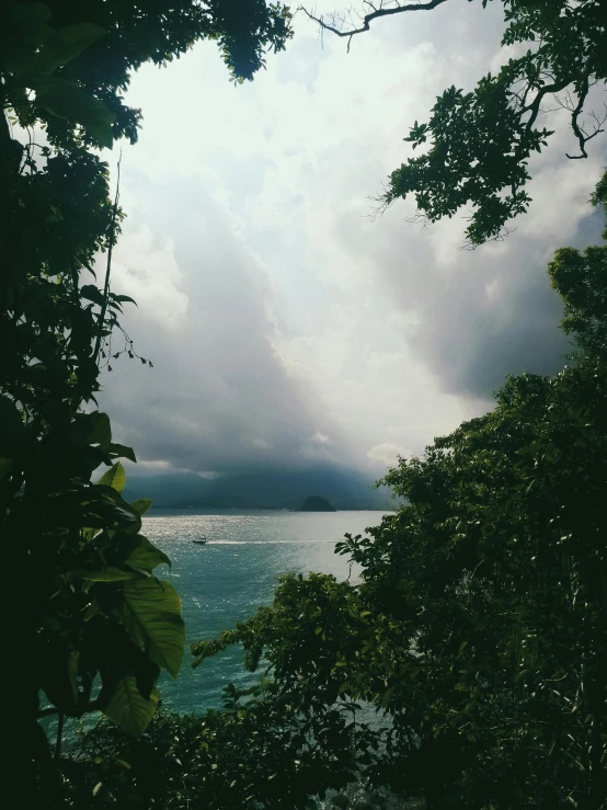 a large body of water surrounded by trees, inspired by Maties Palau Ferré, sumatraism, stormy lighting, trending on vsco, conde nast traveler photo, photo on iphone