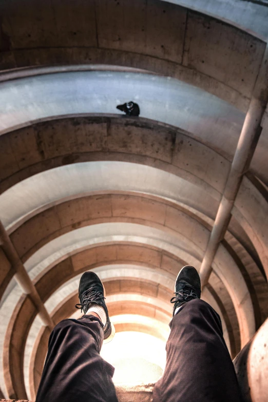 a person standing in a tunnel with their feet on a skateboard, inspired by Anish Kapoor, hogwarts stairwell, half cat, looking up into the sky, in barcelona