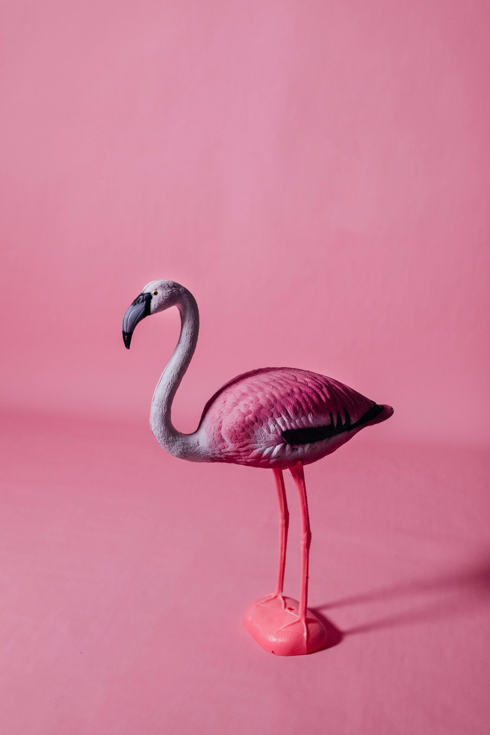 a pink flamingo standing on a pink surface, a surrealist sculpture, trending on unsplash, sitting, teenager, velvet art, vibrant.-h 704