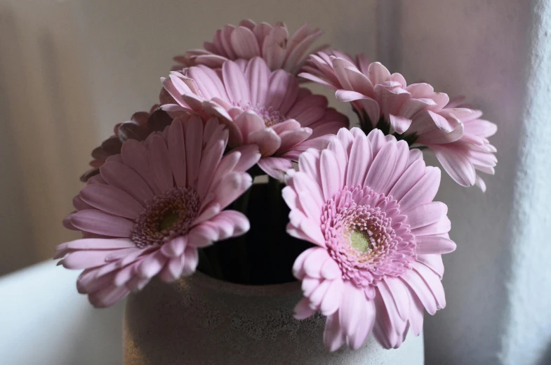 a close up of a vase with flowers in it, inspired by Peter Alexander Hay, unsplash, photorealism, giant daisy flowers head, light pink, ( ultra realistic, beautifully soft lit