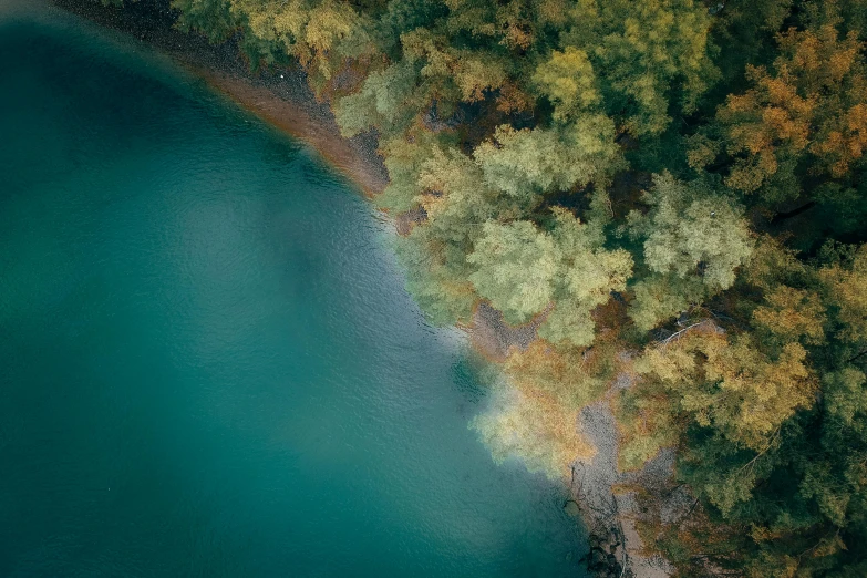 a large body of water surrounded by trees, a picture, inspired by Elsa Bleda, unsplash contest winner, hurufiyya, close-up from above, muted colours 8 k, shoreline, alessio albi