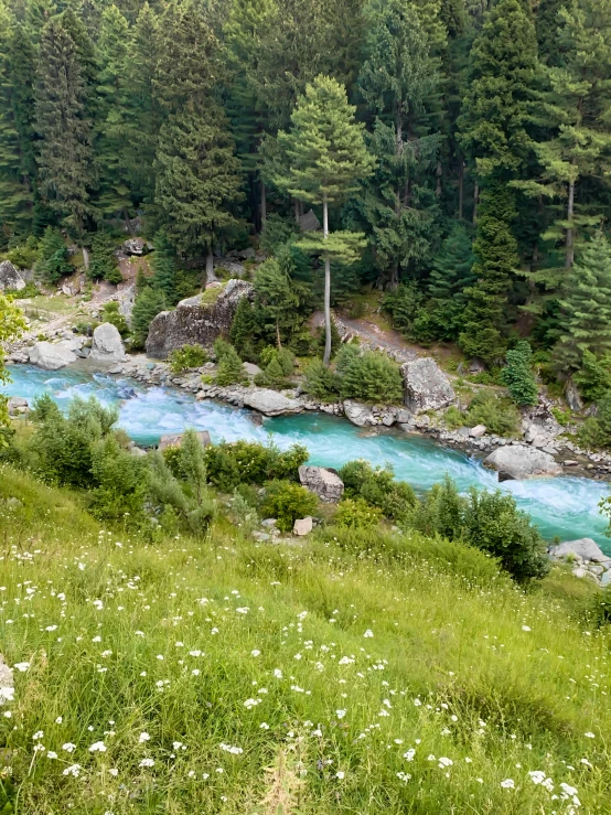 a river flowing through a lush green forest filled with trees, by Muggur, hurufiyya, river of blue fire, & a river, meadows, festivals