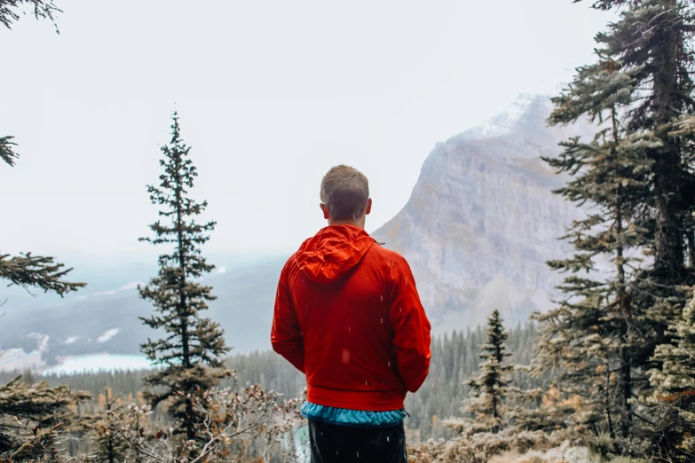 a man standing on top of a snow covered slope, by Jessie Algie, pexels contest winner, wearing a scarlet hoodie, with his back turned, profile image, overlooking a valley with trees