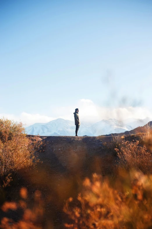 a person standing on top of a dirt road, mountains in the distance, autumn, contemplative, craggy mountains