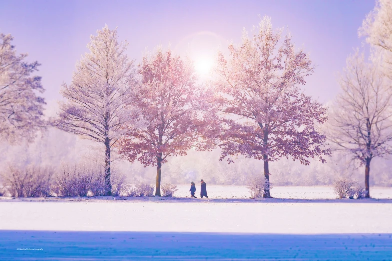 a couple of people walking across a snow covered field, pexels contest winner, romanticism, tall purple and pink trees, lens flare photo real, (3 are winter, fine art print