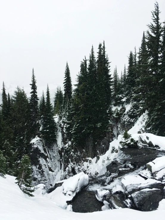 a man riding skis down a snow covered slope, by Jessie Algie, pexels contest winner, detailed trees and cliffs, with jagged rocks and eerie, black fir, overcast gray skies