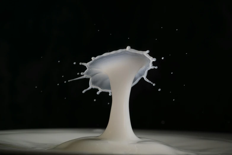 a splash of milk on a black background, unsplash, hyperrealism, nuke dropping, 3 d sculpture 8 k octane render, long exposure, simulacrum of a space fungus