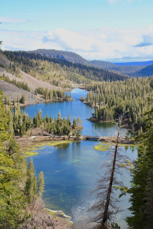 a large body of water surrounded by trees, by Arnie Swekel, les nabis, mammoth, slide show, lakes, quaint