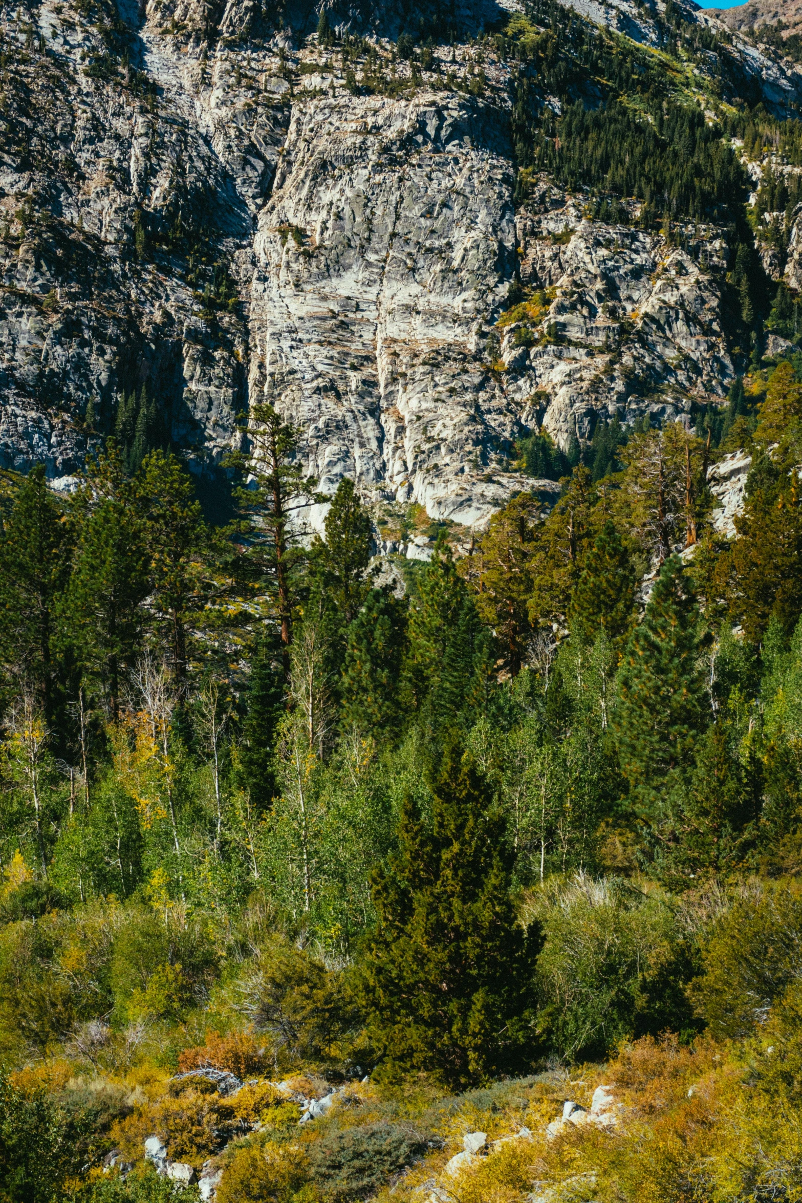 a man riding a horse through a lush green forest, les nabis, distant rocky mountains, rocky cliff, large scale photo, today's featured photography 4k