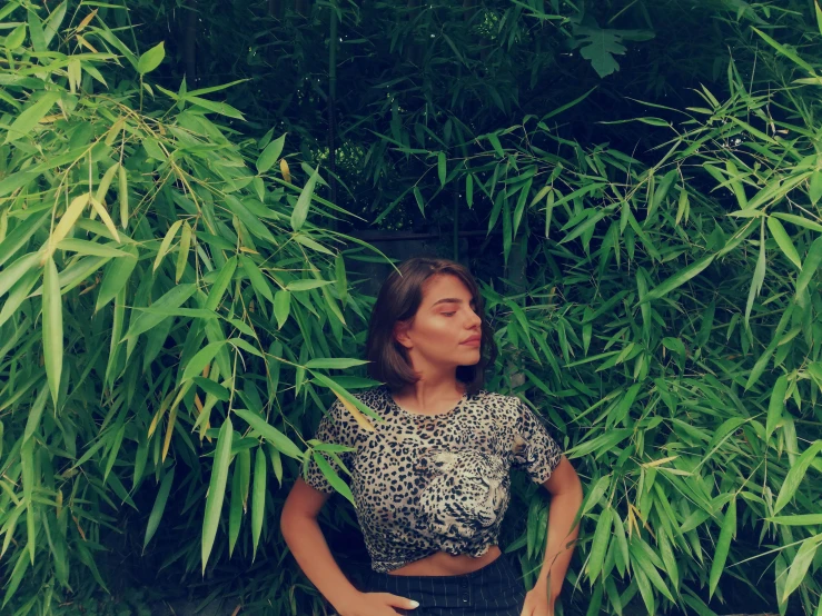 a woman standing in front of a bamboo tree, an album cover, inspired by Elsa Bleda, unsplash, happening, crop top, phoebe tonkin, wild vegetation, 🦩🪐🐞👩🏻🦳