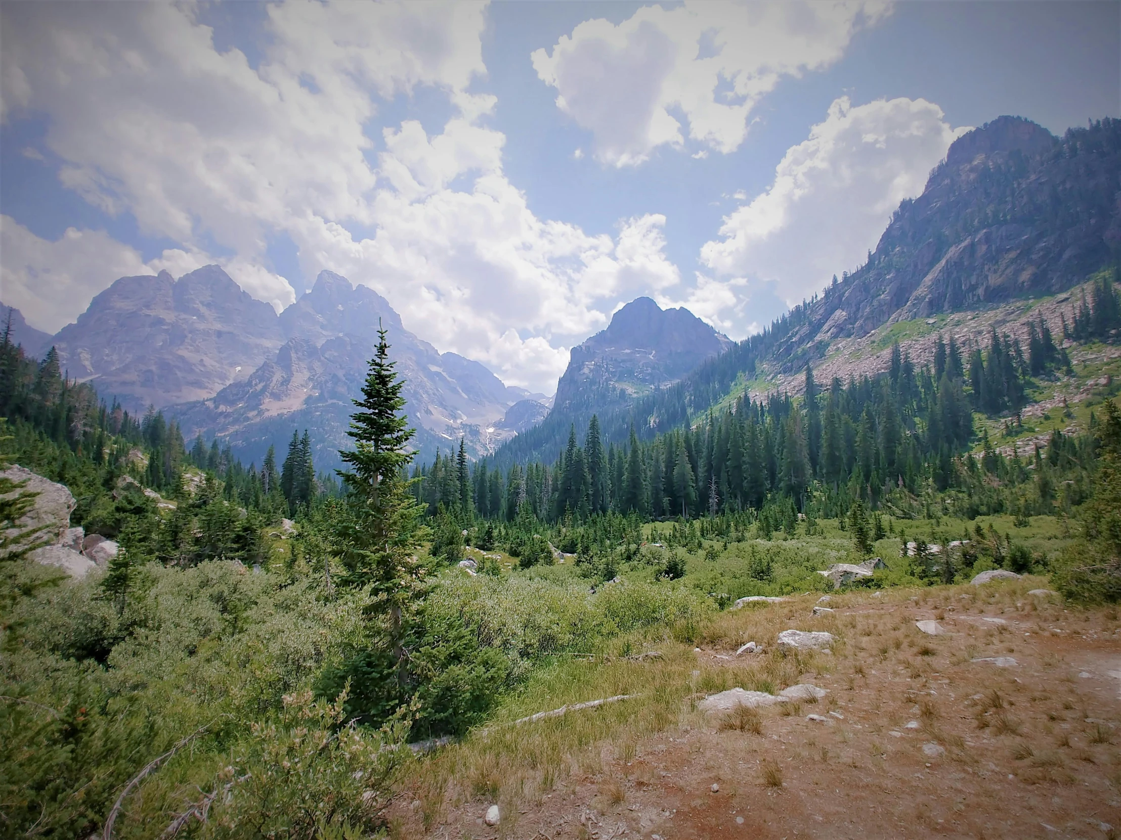 a scenic view of a mountain range with pine trees in the foreground, inspired by Ethel Schwabacher, unsplash, photorealism, uhd 8 k cryengine, wyoming, gopro photo, unreal 4 screenshot